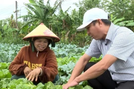 Officials from the Economic Department of Vinh Son commune visit the temperate vegetable cultivation model of Ms. Dinh Thi Boi in K3 village, Vinh Son commune.