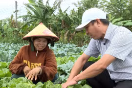 Officials from the Economic Department of Vinh Son commune visit the temperate vegetable cultivation model of Ms. Dinh Thi Boi in K3 village, Vinh Son commune.