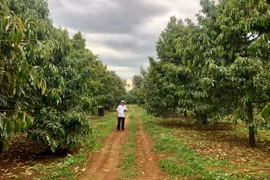 Standardizing Agricultural Production to Boost Exports