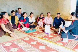 It is necessary to further strengthen public awareness campaigns on reproductive health care in villages and hamlets in the western region of the province.