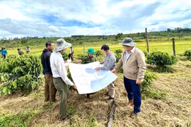 Adjustment of Gia Lai Provincial Planning: Expanding Development Space, Creating New Growth Drivers