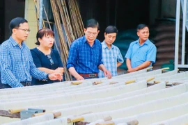 Gia Lai translates Party Congress resolutions into action plans at grassroots level