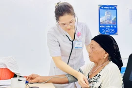 Healthcare for the Elderly under the Provincial People's Committee's Implementation Plan for the National Strategy to 2035, with a Vision to 2045