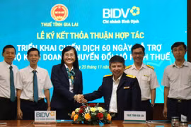 Gia Lai Focuses on Supporting Household Businesses with Tax Declarations