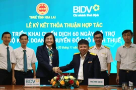 Gia Lai Focuses on Supporting Household Businesses with Tax Declarations