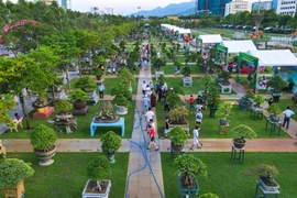 Quy Nhon Square is an ideal venue for hosting large-scale ornamental creature events. Photo: Ngoc Nhuan