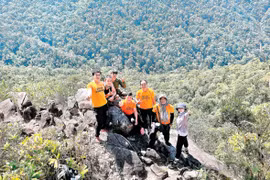 Coffee is a key crop in Gia Lai province. Photo: V.T
