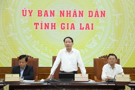 Pham Anh Tuan, Chairman of the Gia Lai Provincial People's Committee, chaired a hybrid conference—both in-person and online—to review the province's socio-economic performance in January and to outline key tasks for February 2026.