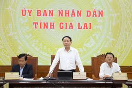 Pham Anh Tuan, Chairman of the Gia Lai Provincial People's Committee, chaired a hybrid conference—both in-person and online—to review the province's socio-economic performance in January and to outline key tasks for February 2026.