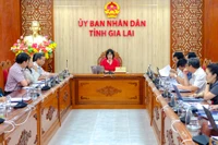 View of the meeting. Photo: Doan Ngoc