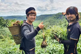 “Tourism ambassadors” from the villages