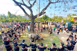 Bek Village Celebrates Victory Festival