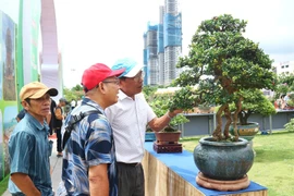 Many Unique Works Gathered at the First Gia Lai Province Expanded Ornamental Creatures Exhibition and Festival 2025