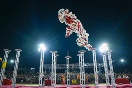 To perform the Mai Hoa Thung, many lion dance troupes have had to invest significant time and effort in long-term training.