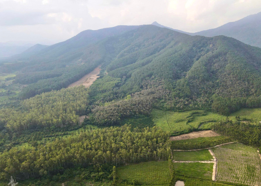 From 2021 to 2024, the western region of the province planted more than 33,100 hectares of forest. Photo: M.N tu-nam-2021-2024-khu-vuc-phia-tay-tinh-da-trong-hon-33100-ha-rung.jpg