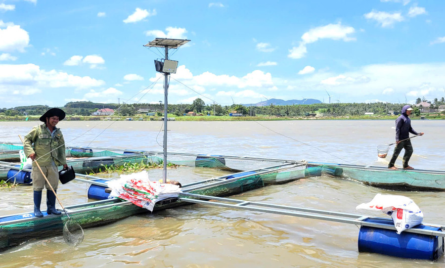 Nguyễn Đình Quyền (Cửu An commune, Gia Lai Province) tending his fish. Photo: M.P ong-nguyen-dinh-quyen-xa-cuu-an-tinh-gia-lai-cham-soc-dan-ca.jpg