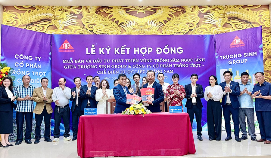 lanh-dao-truong-sinh-group-va-cong-ty-co-phan-trong-trot-che-bien-duoc-lieu-quang-nam-ky-ket-hop-dong-mua-ban-va-dau-tu-phat-trien-vung-trong-sam-ngoc-linh.jpg
