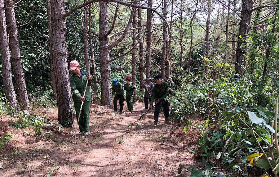 ban-quan-ly-rung-phong-ho-ia-ly-phoi-hop-voi-nguoi-dan-lam-duong-ranh-can-lua-de-phong-chong-chay-rung.jpg