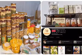 Vietnamese consumers turn to online platforms for Tet shopping surge