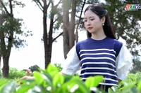 Bien Ho Tea (Bien Ho Commune, Gia Lai Province) – A Century-Old Legacy