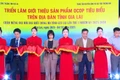Vice Chairwoman of the Provincial People's Committee Nguyễn Thị Thanh Lịch (fourth from the left) and other delegates cut the ribbon to open the exhibition. Photo: Huy Toàn