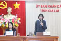 Press conference held ahead of the series of events marking the Opening of National Tourism Year – Gia Lai 2026.
