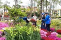 Bustling Atmosphere at Flower Markets Everywhere