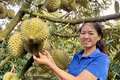 Maintaining the "Export Passport" for Durian