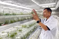 The Forest Grower in a Glass Jar