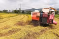 Low-Emission Rice Cultivation in the 2025-2026 Winter-Spring Crop: High Efficiency