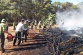 Proactively Prevent Forest Fires from the Start of the Dry Season