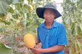 Clean Agriculture Elevates the Value of Agricultural Products