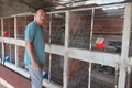 The first person to produce civet coffee in Pleiku.