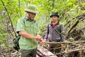 Forest Protection Station officers and local residents remove snare traps in the Canh Tiến - Ho Nui Mot forest.