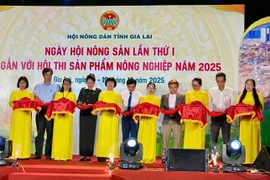 Gia Lai launches first agricultural products festival to promote local excellence