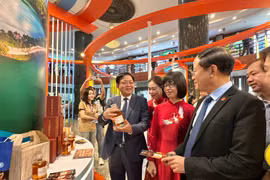 80 enterprises showcase at Gia Lai Investment Promotion Conference 2025