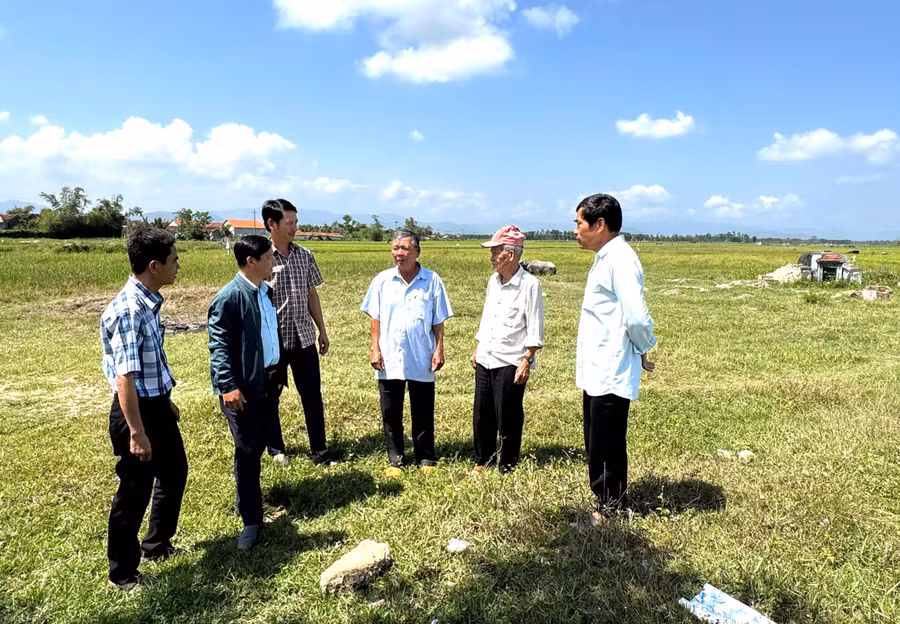 phuc-vu-du-an-xay-dung-duong-bo-cao-toc-quy-nhon-pleiku.jpg