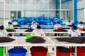 Decree No. 235/2025/ND-CP issued by the Government adjusts the target groups eligible for industrial promotion policies. Photo: V.T