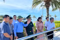 Towards the Professionalization of Marine and Island Tourism