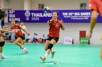 A young woman from Gia Lai and her teammates clinched the gold medal in women's handball at the 33rd SEA Games.