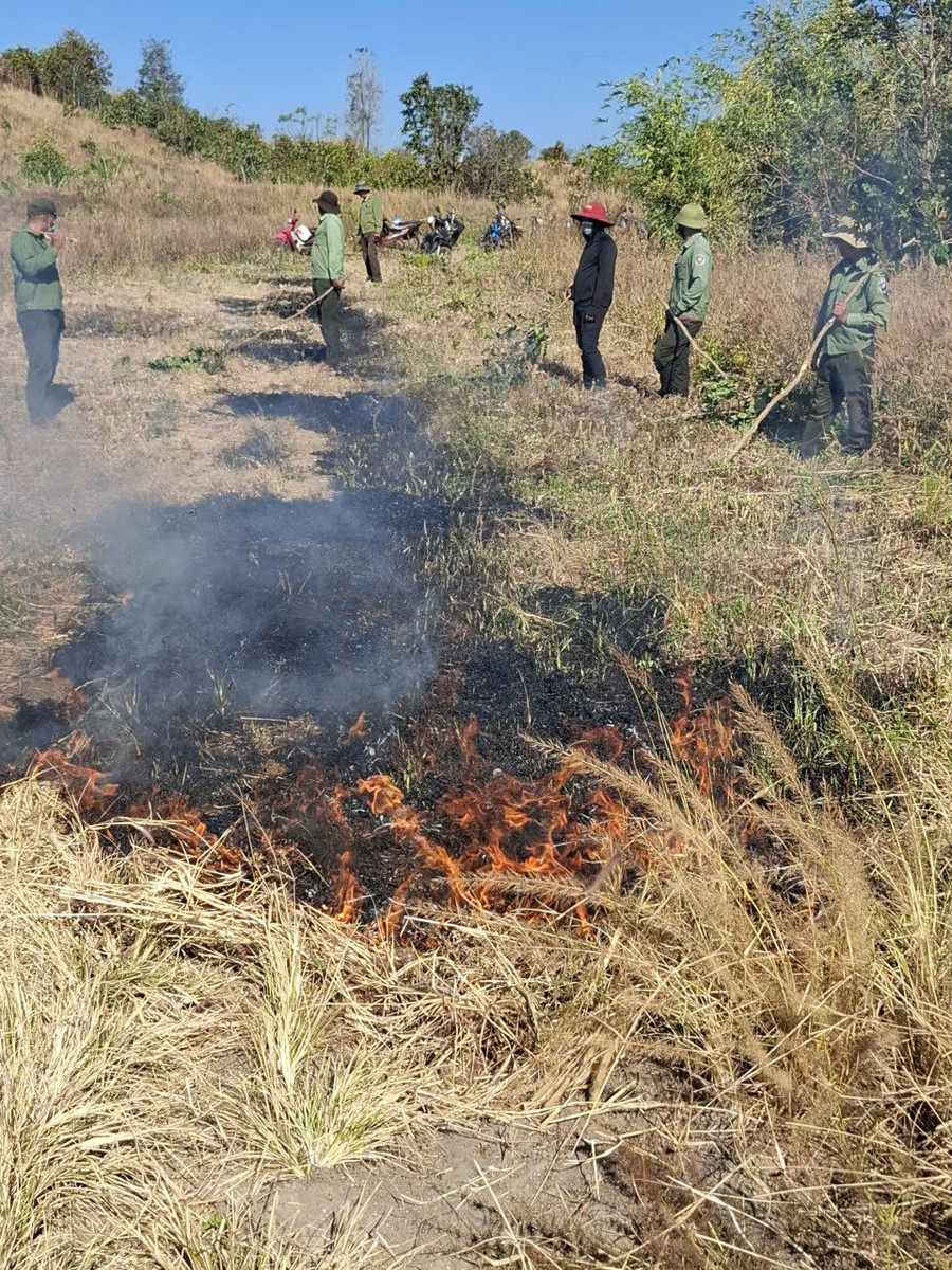 luc-luong-chuyen-trach-bao-ve-rung-ban-quan-ly-rung-phong-ho-nam-phu-nhon-dot-thuc-bi-truoc-mua-kho-2025-2026.jpg
