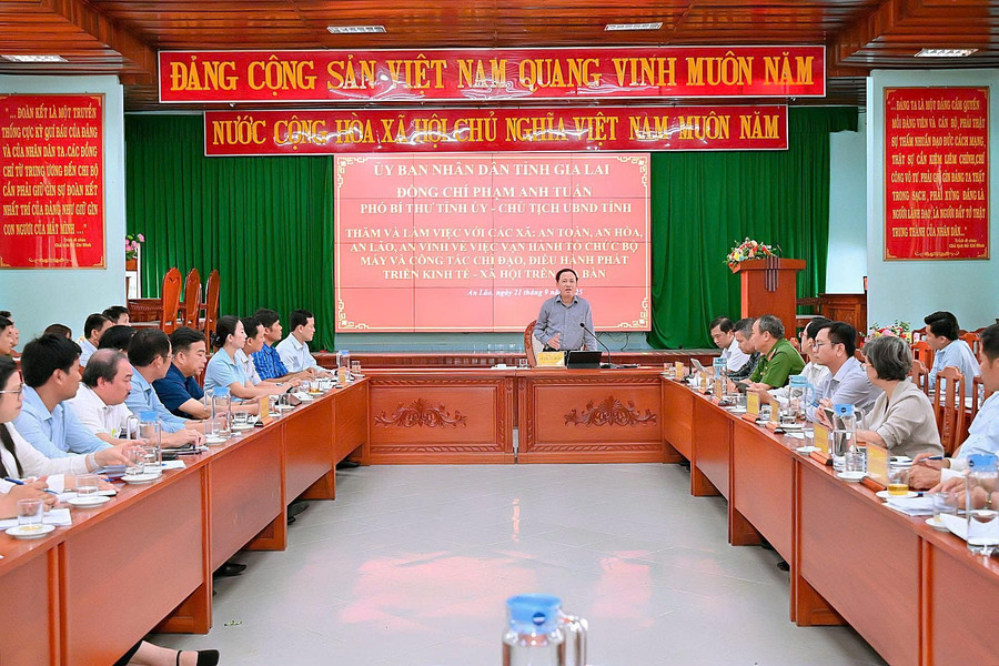 Overview of the working session. Photo: Đức Thụy z7034428079345-1385b42aa8700c9c7e21fd8919e02ed1.jpg