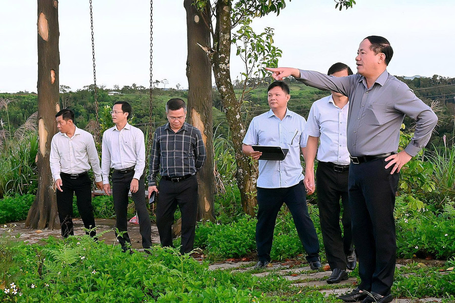 Chairman of the Provincial People's Committee Phạm Anh Tuấn (far right) surveys the area planned for the An Toàn Highland Cloud Hunting Festival and samples Tiến Vua tea. Photo: Đức Thụy z7034427585917-25e51f39b73791460fe07739c4238768.jpg