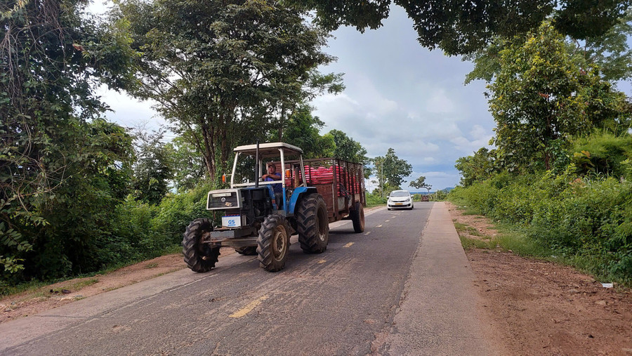 Residents of Ia Lâu commune transport early-harvested rice during the 2025 Summer-Autumn season. Photo: Nguyễn Diệp z6978551122689-ce8f97d0b3307736fa66755125da04e6.jpg