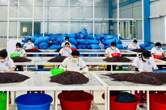 Decree No. 235/2025/ND-CP issued by the Government adjusts the target groups eligible for industrial promotion policies. Photo: V.T