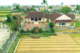 Thuận Nghĩa Vegetable Village – The “Green Gem” of Tây Sơn Commune’s Community Tourism