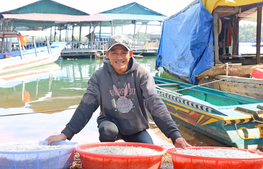 Lê Văn Sang preparing to sell anchovies caught in the Sê San hydropower reservoir to traders. Photo: Đồng Lai