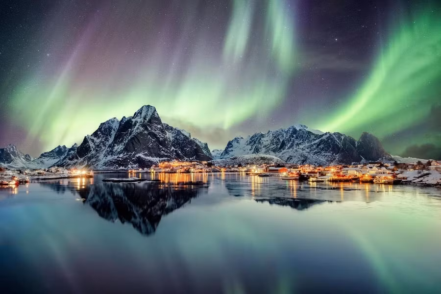 Reine sparkles like scattered rubies on a slate slab.
