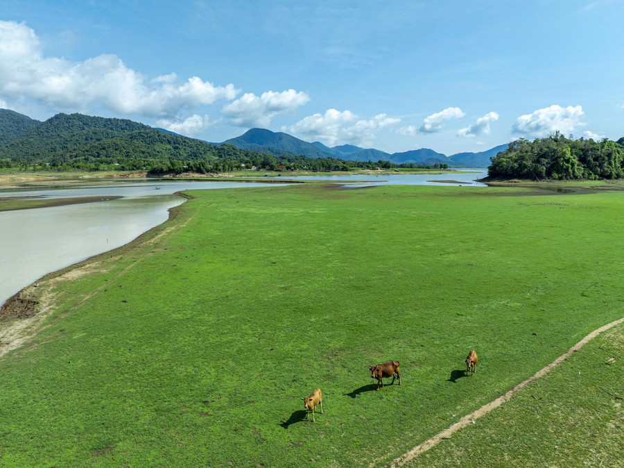 Canh Vinh’s rich vegetation is a major advantage for developing ecotourism and outdoor activities. Photo: Dũng Nhân gen-h-ho-nui-mot-3.jpg