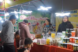 Pleiku street food festival draws crowds ahead of New Year countdown